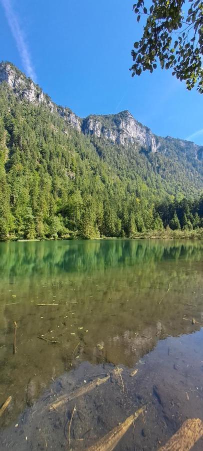 Laerche 2 - Chiemgaukarte Inklusive- Daire Inzell Dış mekan fotoğraf