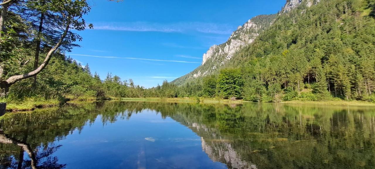 Laerche 2 - Chiemgaukarte Inklusive- Daire Inzell Dış mekan fotoğraf