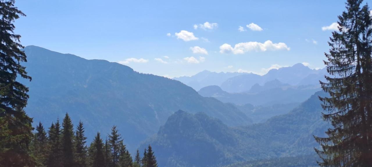 Laerche 2 - Chiemgaukarte Inklusive- Daire Inzell Dış mekan fotoğraf