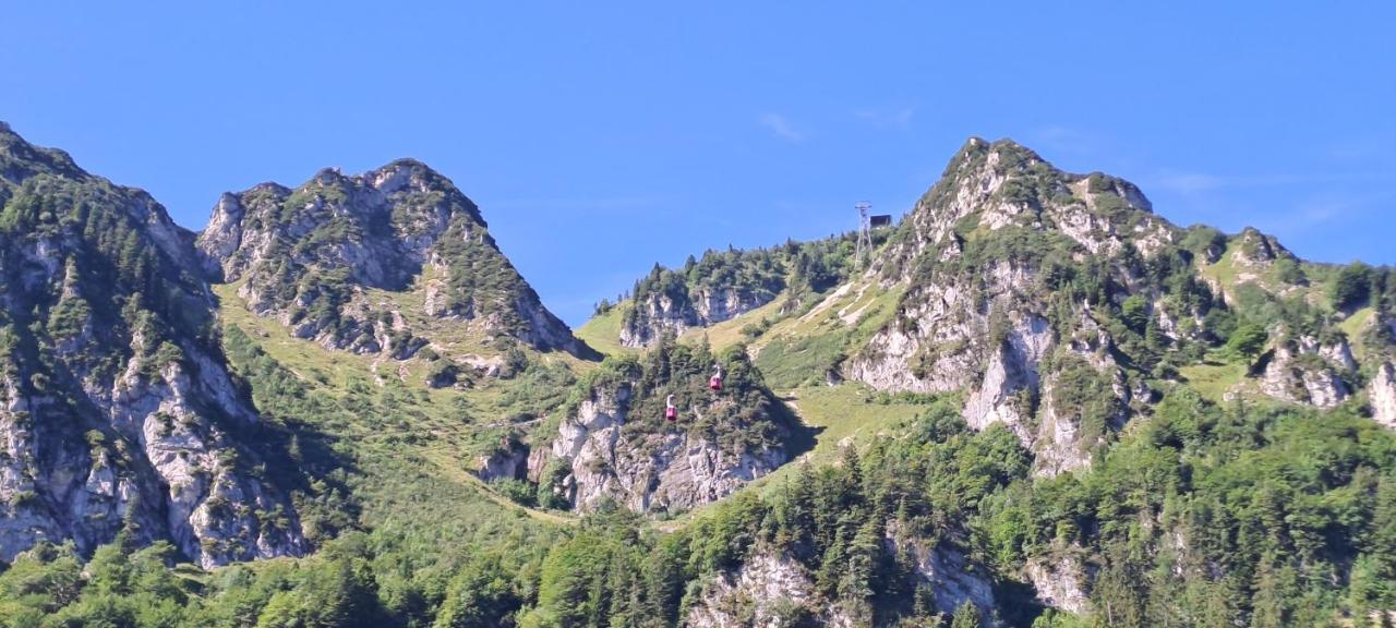 Laerche 2 - Chiemgaukarte Inklusive- Daire Inzell Dış mekan fotoğraf